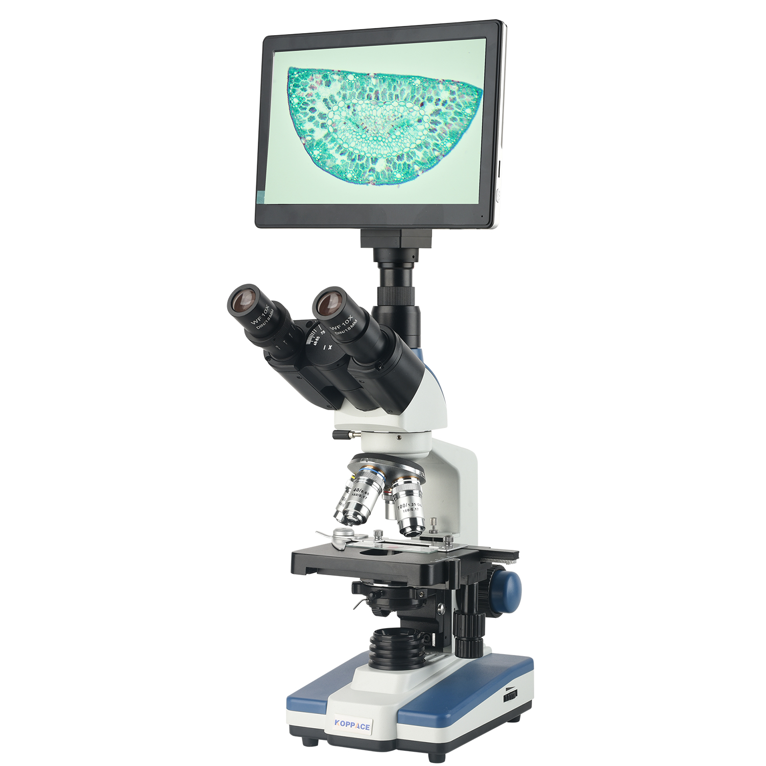 Microscope Compound 40X - KOPPACE 40X-2500X Elektronen-Verbindungs-Labormikroskop, 2 Millionen Pixel,