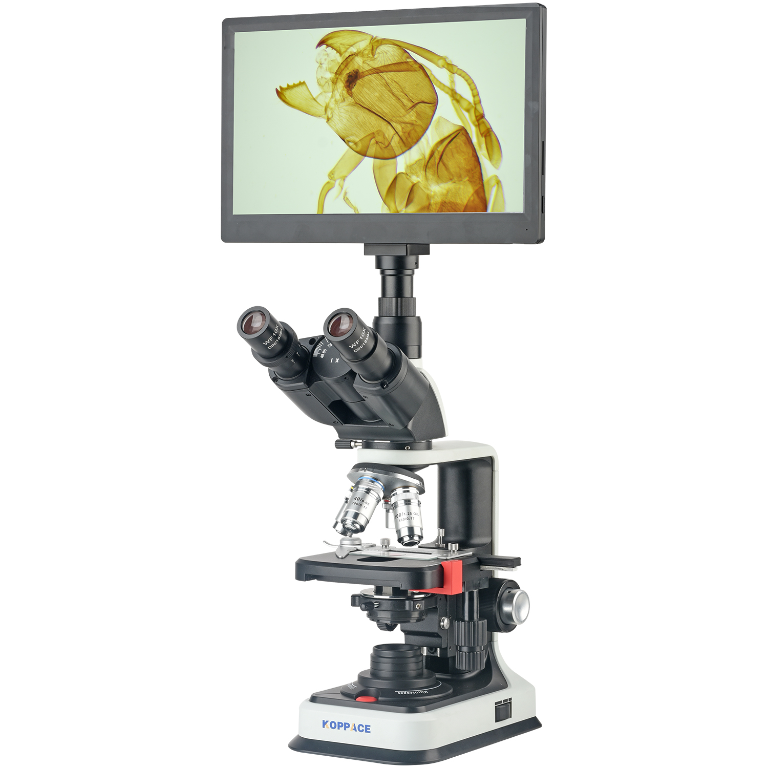 Microscope Compound 40X - KOPPACE 40X-2500X Elektronisches Verbund-Labormikroskop 2 Millionen