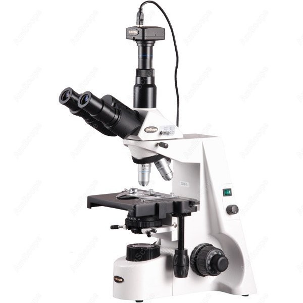 Microscope Compound 40X - AmScope 40X-2500X Infinity Kohler Biologisches Verbundmikroskop