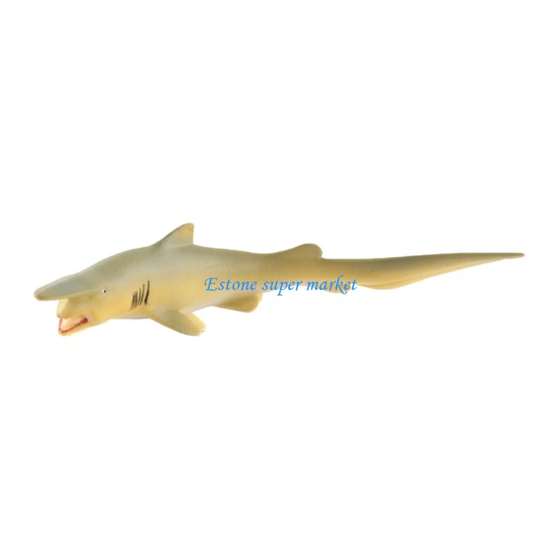090B Muränenfisch-Modell, real – Science Exhibition Models Bewertung und Preis