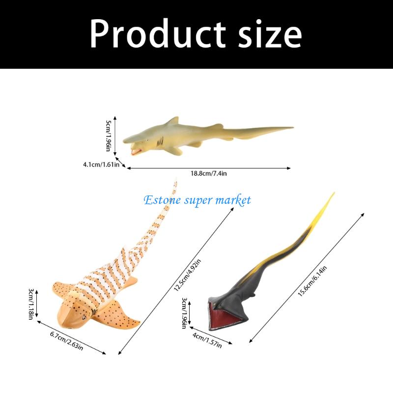 090B Muränenfisch-Modell, real – Science Exhibition Models Bewertung und Preis