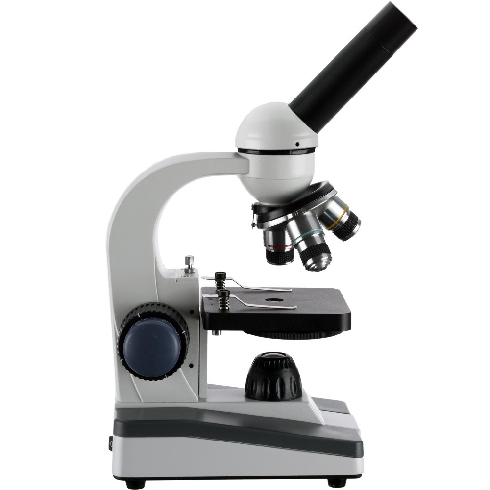 AmScope M150 Serie Tragbares L – Microscope Compound 40X Bewertung und Preis