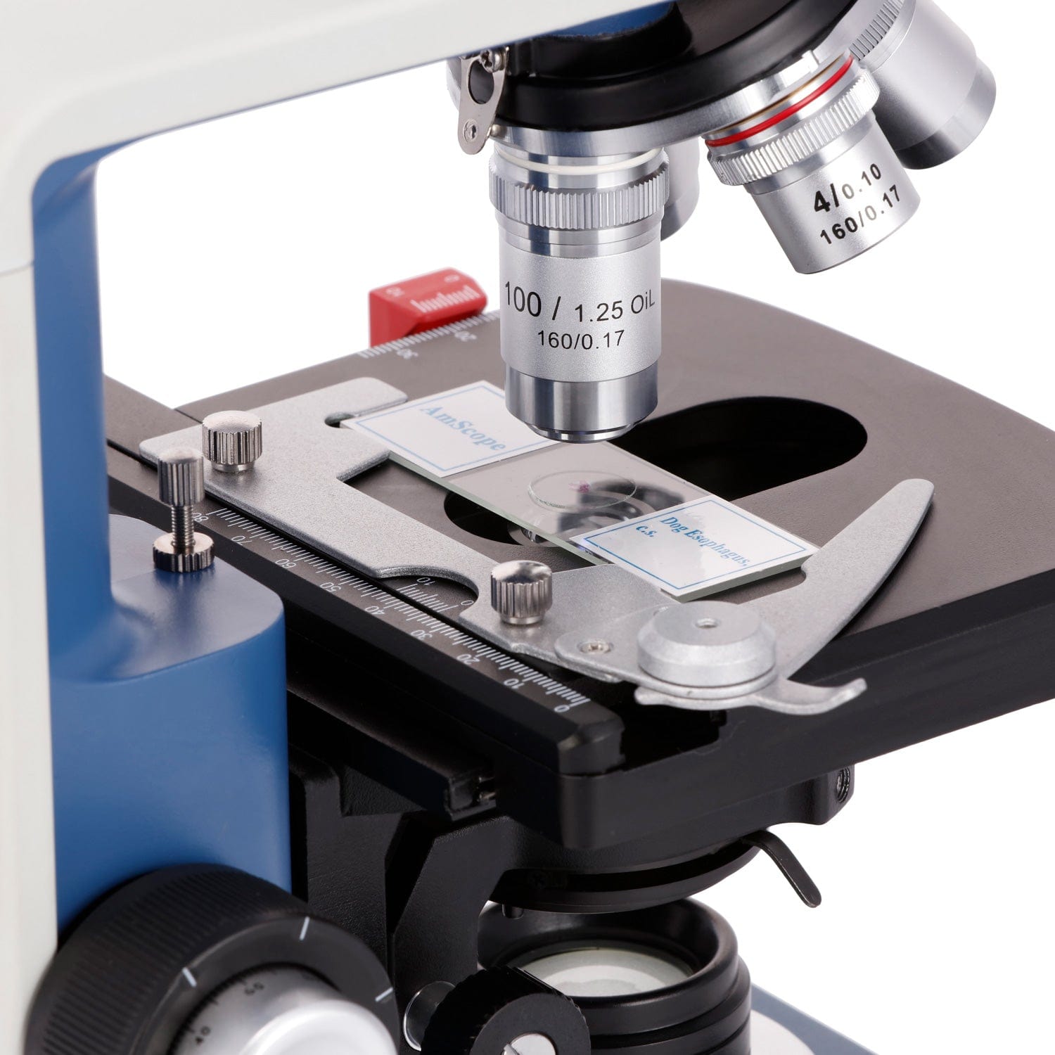 AmScope 40X-2500X Studenten-Bi – Microscope Compound 40X Bewertung und Preis