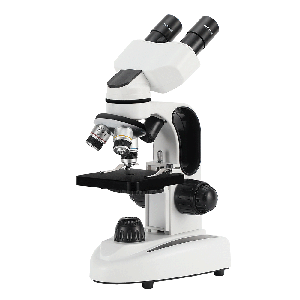 40X-1000X Binokulares Verstärk – Microscope Compound 40X Bewertung und Preis