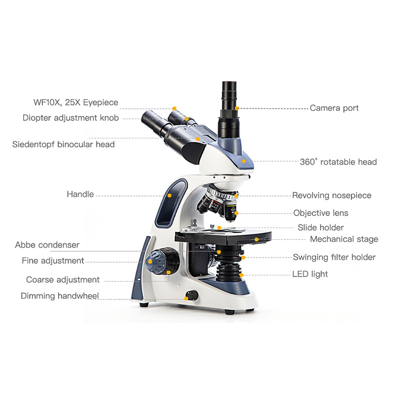 SWIFT SW380T Trinokulares Mikr – Microscope Compound 40X Bewertung und Preis