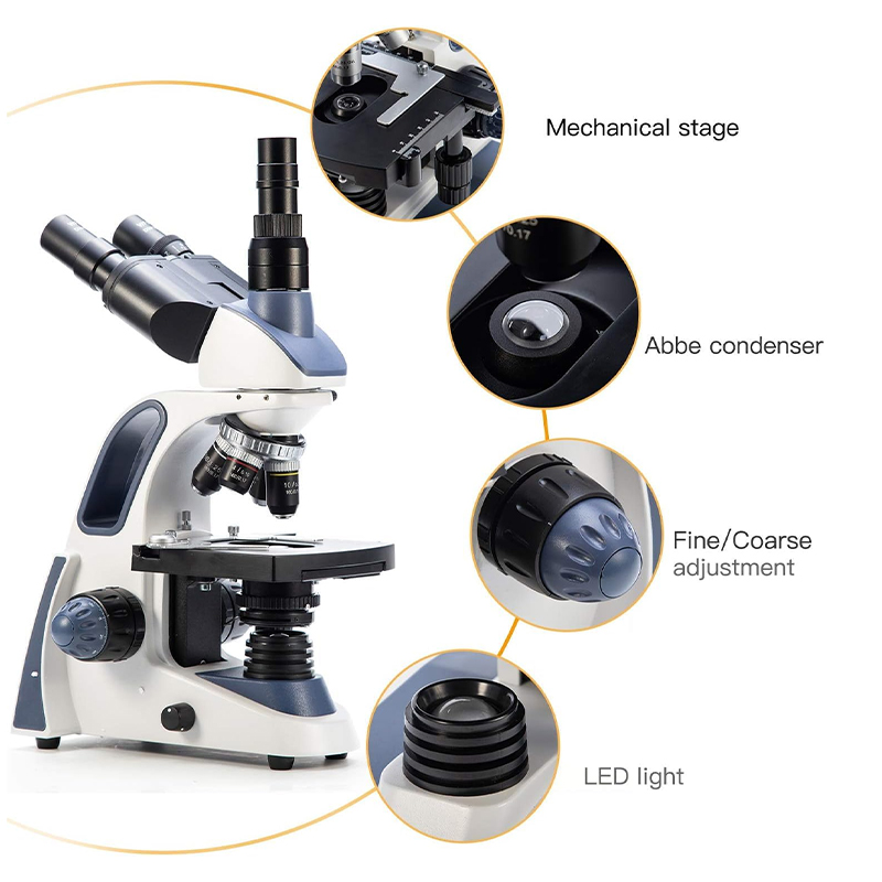 SWIFT SW380T Trinokulares Mikr – Microscope Compound 40X Bewertung und Preis