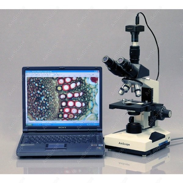 AmScope T490 Serie Simul-Fokal – Microscope Compound 40X Bewertung und Preis