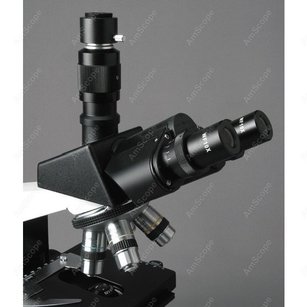 AmScope T490 Serie Simul-Fokal – Microscope Compound 40X Bewertung und Preis