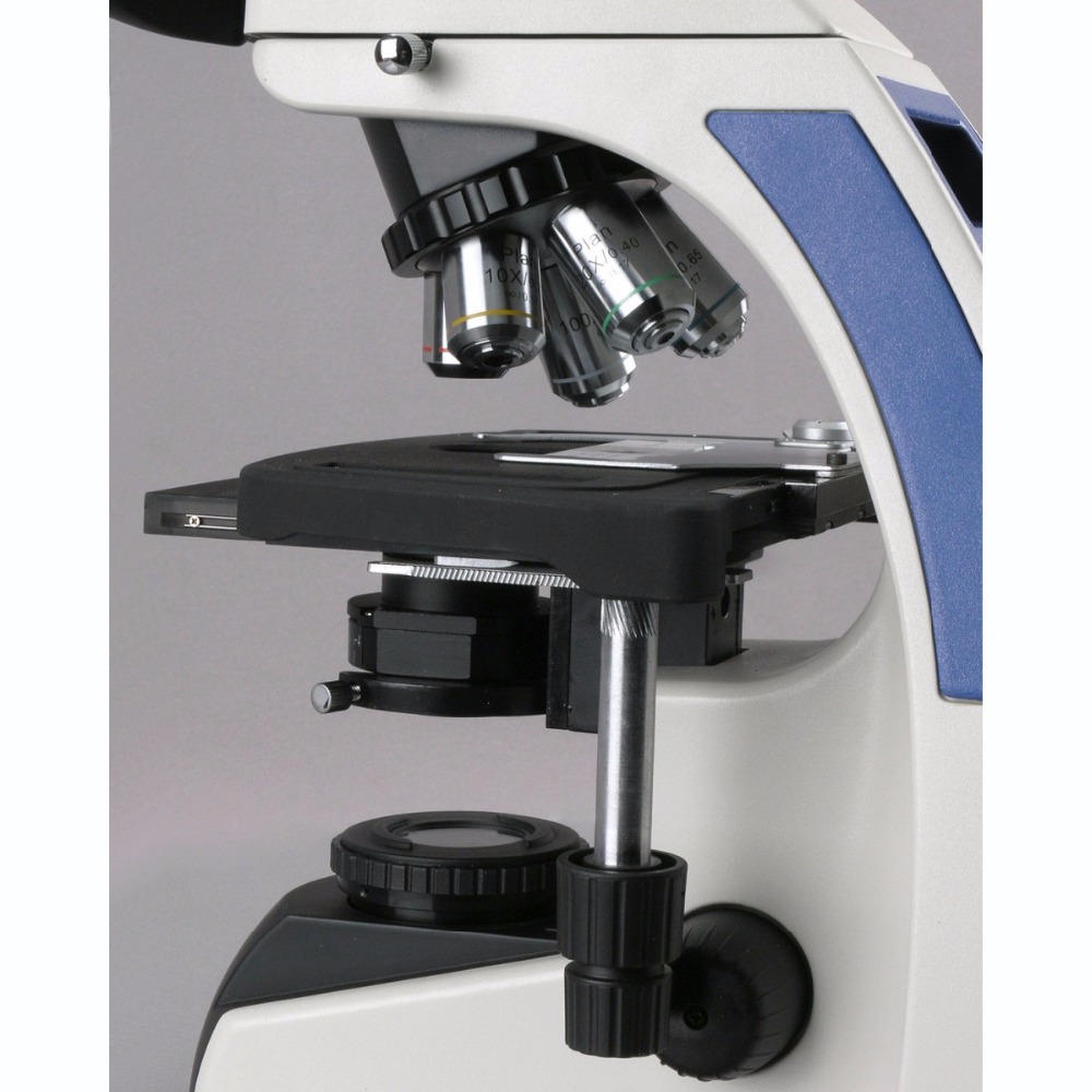 AmScope T720 Serie Unendlich-k – Microscope Compound 40X Bewertung und Preis