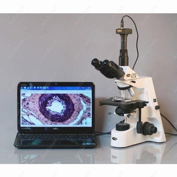 AmScope 40X-2500X Infinity Koh – Microscope Compound 40X Bewertung und Preis
