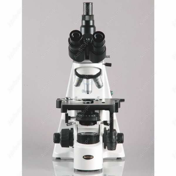 AmScope 40X-2500X Infinity Koh – Microscope Compound 40X Bewertung und Preis
