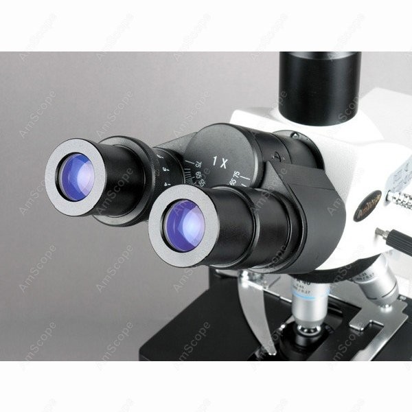 AmScope 40X-2500X Infinity Koh – Microscope Compound 40X Bewertung und Preis