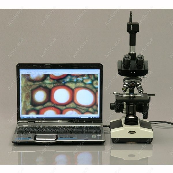 AmScope T390 Serie Biologische – Microscope Compound 40X Bewertung und Preis