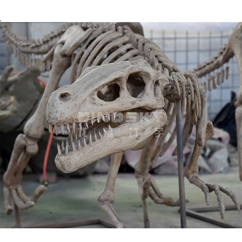 ATV&UTV Kunstharz Raptor-Skele – Science Exhibition Models Bewertung und Preis