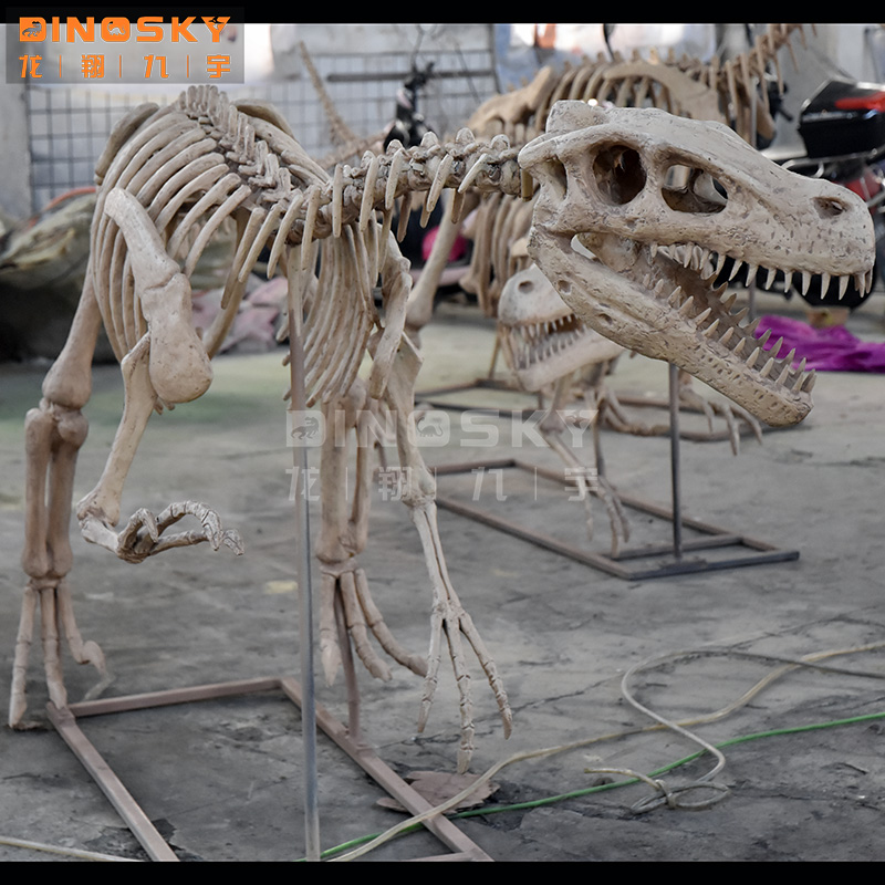ATV&UTV Kunstharz Raptor-Skele – Science Exhibition Models Bewertung und Preis