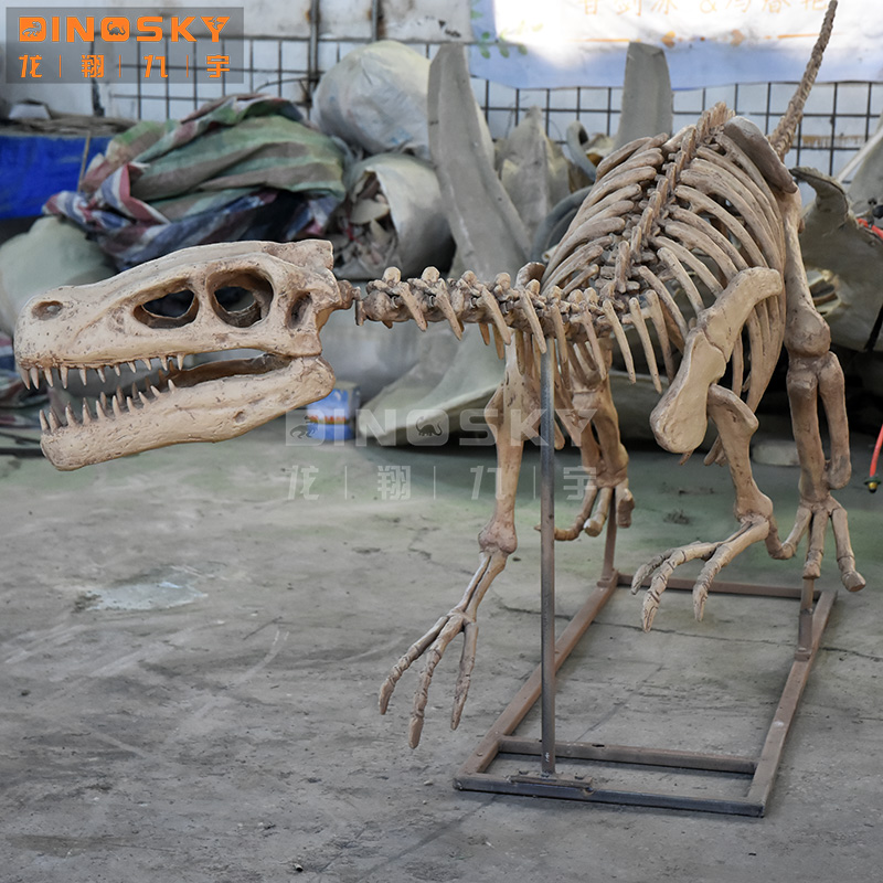 ATV&UTV Kunstharz Raptor-Skele – Science Exhibition Models Bewertung und Preis
