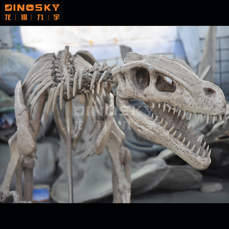 ATV&UTV Kunstharz Raptor-Skele – Science Exhibition Models Bewertung und Preis