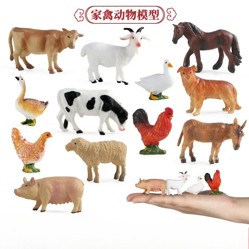 Bildung Lehrmittel Geflügel Ti – Science Toys Bewertung und Preis