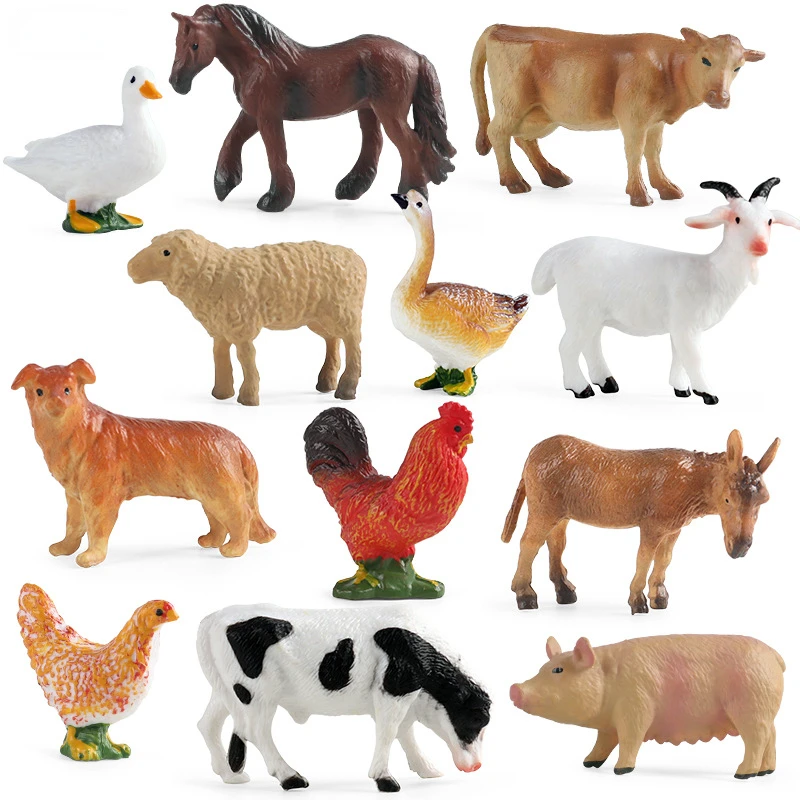 Bildung Lehrmittel Geflügel Ti – Science Toys Bewertung und Preis
