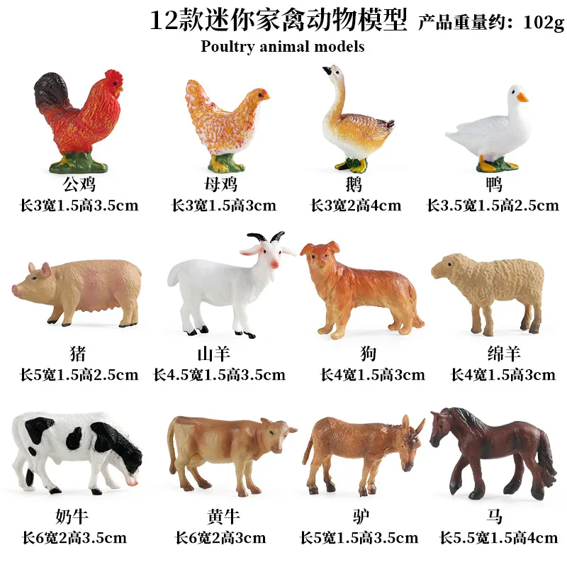 Bildung Lehrmittel Geflügel Ti – Science Toys Bewertung und Preis
