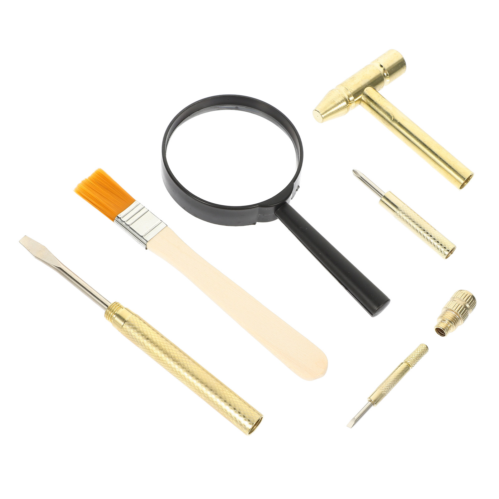1 Set Kinder-Ausgrabungswerkze – Science Kit Bewertung und Preis
