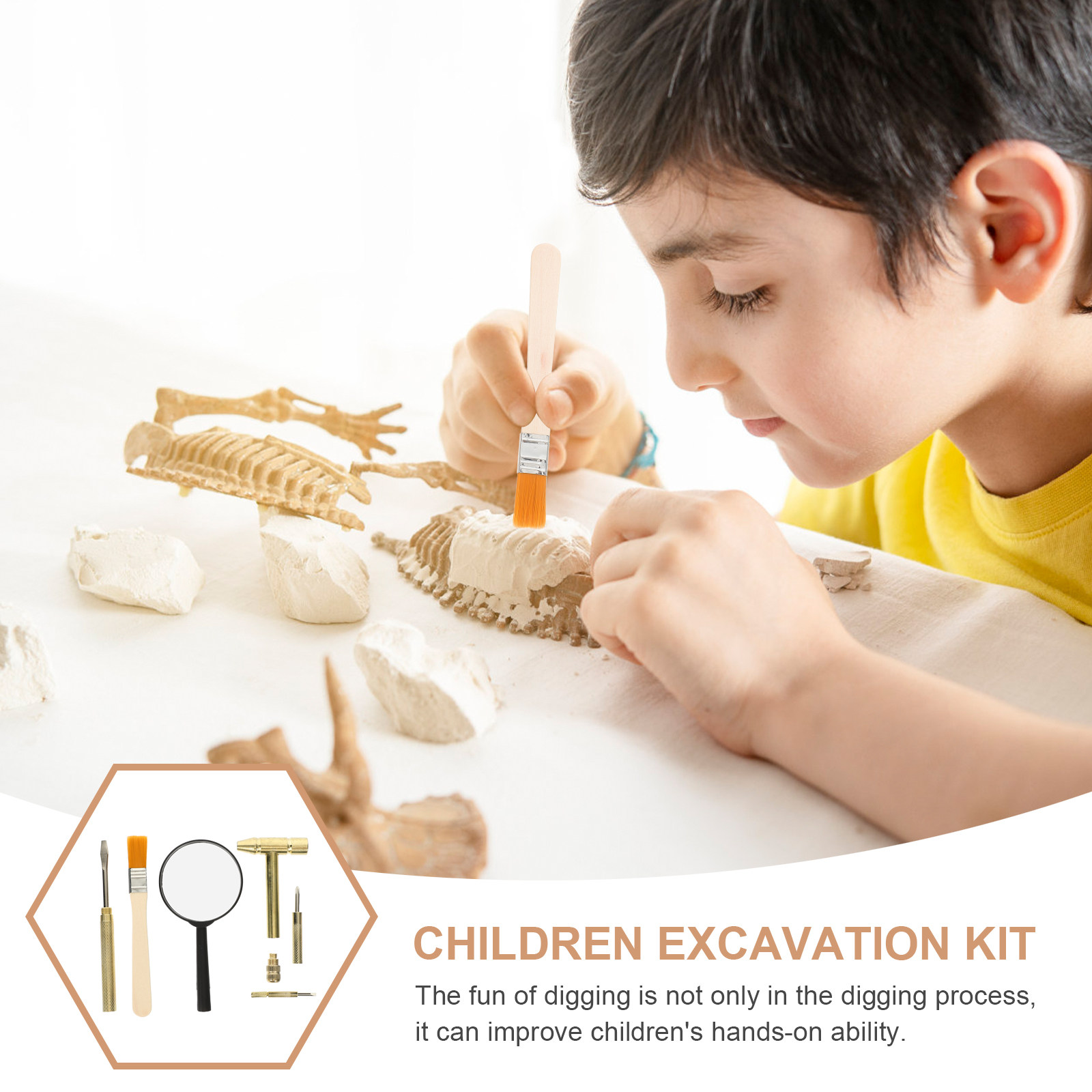 1 Set Kinder-Ausgrabungswerkze – Science Kit Bewertung und Preis