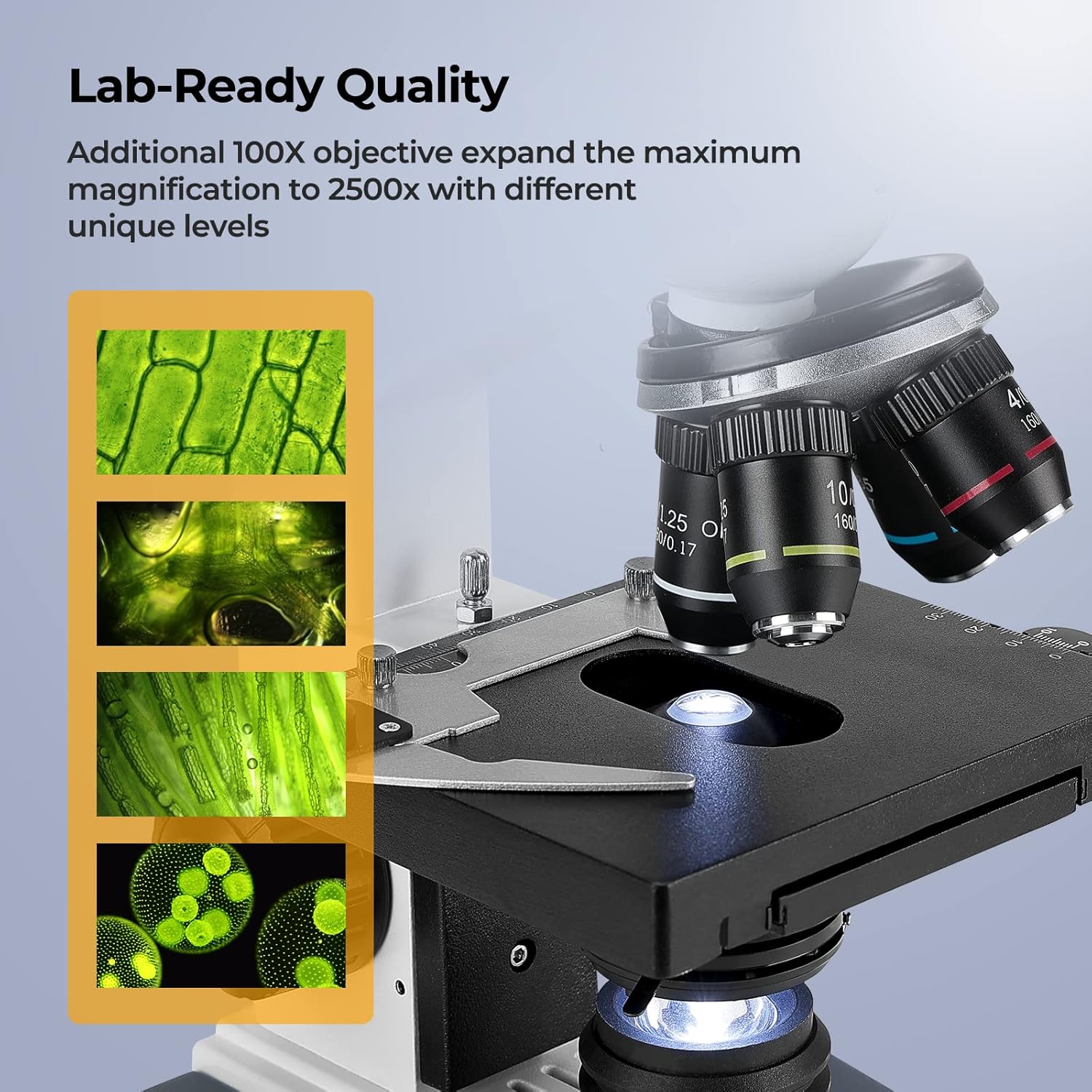 40X-2500X Trinokulares Kompoun – Microscope Compound 40X Bewertung und Preis
